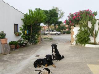 Can Selleretas - Vilamacolum - 4