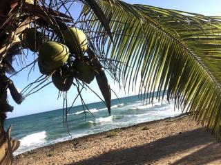 Modern, Welcoming Studio, Ocean View in Juan Dolio - Juan Dolio - 0