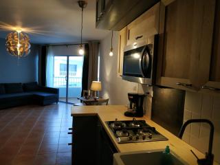 Modern, Welcoming Studio, Ocean View in Juan Dolio - Juan Dolio - 3