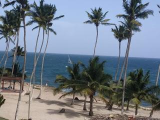 Modern, Welcoming Studio, Ocean View in Juan Dolio - 3
