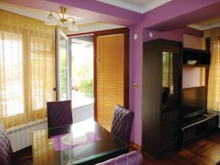 Novi Lux Apartmani Maestro - 1