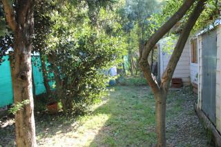 Choique - Bariloche - 3