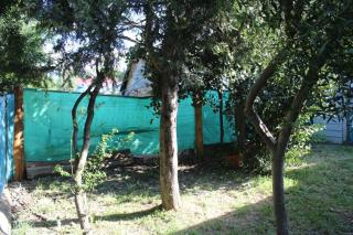 Choique - Bariloche - 2