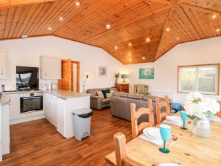 Teal Lodge - Tattershall - 2