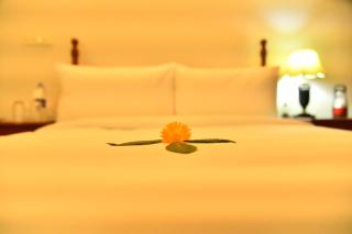 Niraamaya Blue Mountain -Chikmagalur - Tarikere - 6