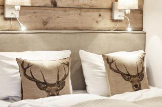 HOME Suites Apartment 2 - Braunlage - 8