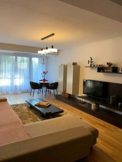 Cioplea View - Predeal - 9