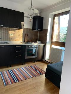 Cioplea View - Predeal - 4
