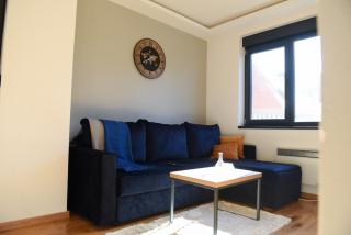 Apartman Šuma - Zlatibor - 9