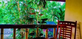 Raj Mahal Inn - Wadduwa - 9
