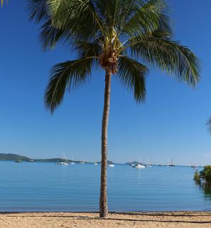 Ocean Views at Whitsunday Terraces Resort - Airlie Beach - 3