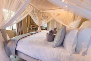 Kambaku Safari Lodge - Timbavati Game Reserve - 7