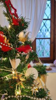 La Casetta di Musita - 4