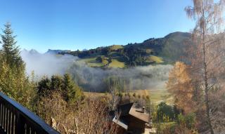 Charming chalet with panoramic view and private parking in Gruyère - Gruyères - 4