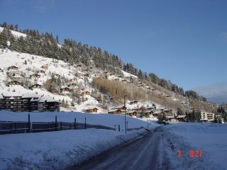 Charming chalet with panoramic view and private parking in Gruyère - Gruyères - 7