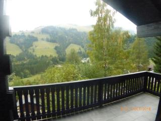 Charming chalet with panoramic view and private parking in Gruyère - Gruyères - 3