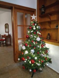 Beautiful and Comfortable House - 9