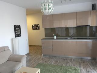 The One Apartments Mamaia Nord - 5