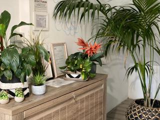 AgriSesto B&B - Fregene - 4