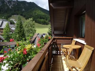 Apartments & Rooms Smučka - Kranjska Gora - 3