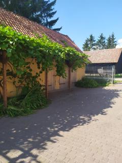 Domek na wzgórzu Blanki - Lidzbark Warmiński - 6