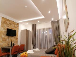 Milmari Future Gold Apartmani Kopaonik - Kopaonik - 3