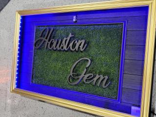 1976HoustonGem Luminous PvTPool & HotTub DT20mins for LRG Families 6Beds 2Bath - Houston - 9
