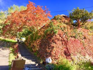 The Otaornai Backpacker's Hostel Morinoki - Otaru - 6