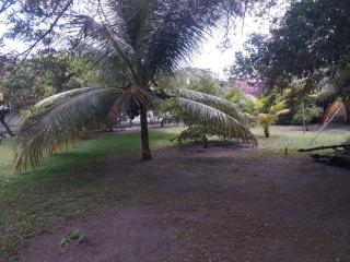 Refúgio das bouganvillea - 2