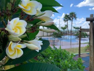 Apartamento Porto Rico - 6