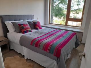 Departamento Los Castaños de Alicura Pucon - Pucón - 8