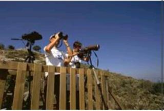 Les chambres touristique Juléa - 1