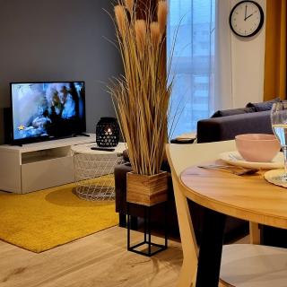 Apple Apartments - Wróblewskiego PRYWATNE MIEJSCE PARKINGOWE - Łódź - 4