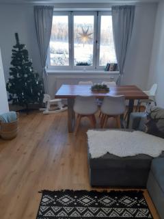 Apartmán u Kunštátského mlýna - Orlické Záhoří - 7