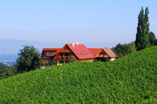 Weingut Winzerzimmer Rothschädl - Leutschach - 3