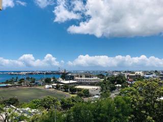 Studio Teiki - calme, proche centre-ville, ferry & aéroport - Papeete - 3