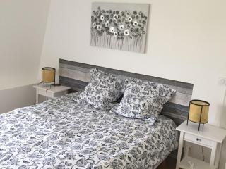 Maison spacieuse avec jardin privatif, idéale pour 6, proche Orléans et Châteaux de la Loire - FR-1-590-236 - - 8