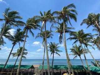Shoreland Beach Resort by Cocotel - Nasugbu - 8