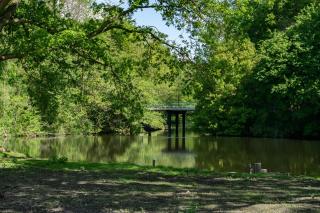 EuroParcs Het Amsterdamse Bos - Amstelveen - 3