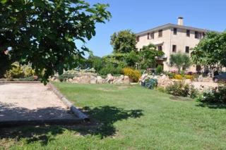Résidence Casa Favalella - Porto Pollo - 7