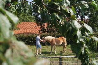 Hoeve Linnerveld - - 6