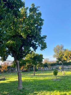 Quinta de Areias - Crespos - 2
