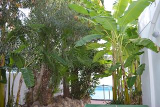 IL Kent - Ischia - 0