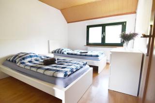 3 Room Apartment in Hellenthal - Hellenthal - 3