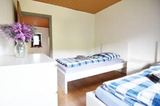3 Room Apartment in Hellenthal - Hellenthal - 1