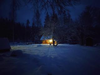 Nedsaja metsamaja ja saun - Nedsaja - 4