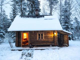 Nedsaja metsamaja ja saun - 1