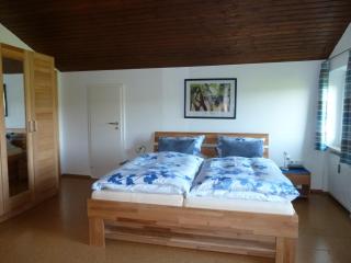 Ferienwohnung Dachs - Zachenberg - 1