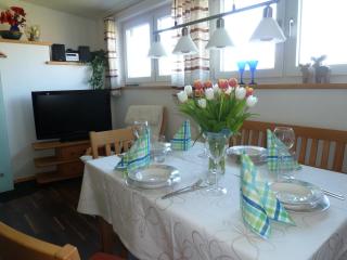 Ferienwohnung Dachs - Zachenberg - 9