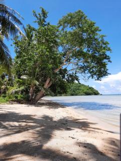 Eastwind Beach Club- El Nido - 3